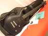 caparison angels HGS.jpg
